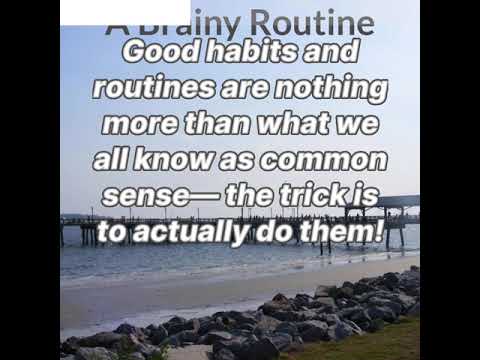 A Brainy Routine - The Science of Self by Peter Hollins