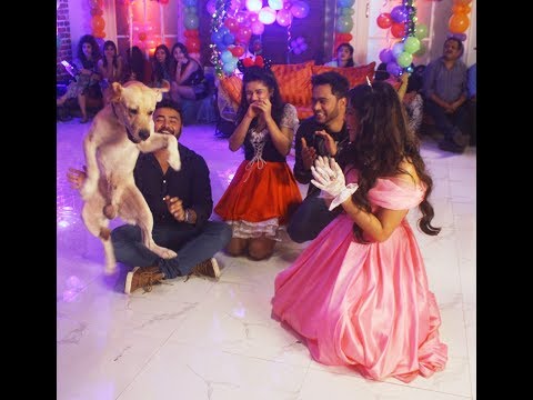 Suraj Chitre helms India’s first dogomance flick Brunie!