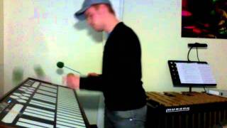 Video thumbnail for Feuertanz Martin Schommer Marimba Lumina by Martin Schommer