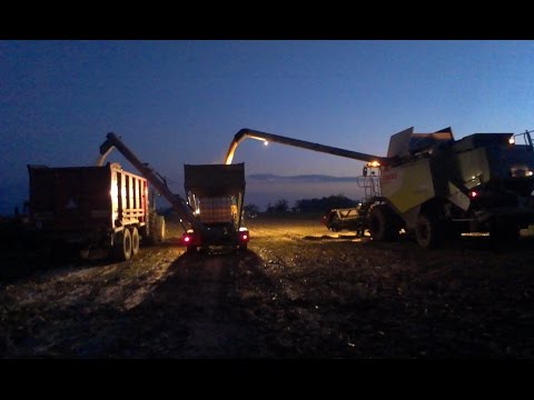 Zrnovka 2014 (PPD Prašice)