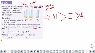 Eğitim Vadisi 11.Sınıf Biyoloji 8.Föy Sindirim Sistemi 1 Konu Anlatım Videoları