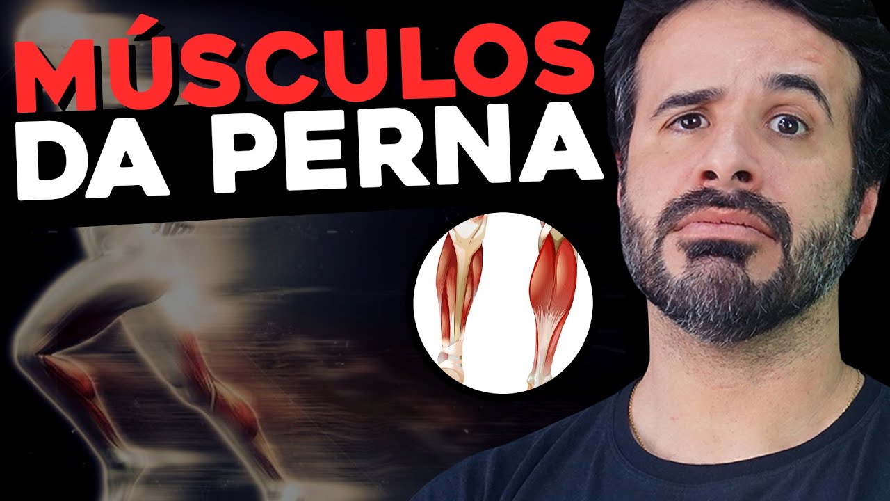 DIFICULDADE EM ESTUDAR OS MÚSCULOS DA PERNA NÃO DEPOIS DESSE VÍDEO