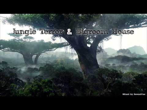 Jungle Terror & Bigroom House Mix (320 kbps)