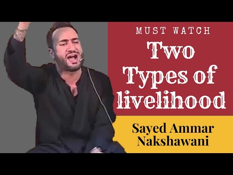 Halal Or Haram Rizq? Your Wish! | Sayed Ammar Nakhswani | Humanity Stands