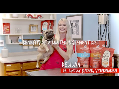 Benefits of a Limited Ingredient Diet | Stella and Chewys