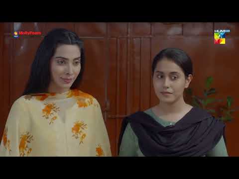 Bebasi - 2nd Last Episode 29 - Best Scene 06 - HUM TV