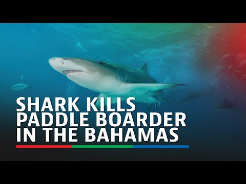 Shark kills paddle boarder in The Bahamas