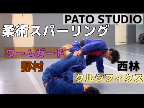 柔術スパーリング   (西林vs野村)