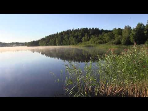 Scandinavian Bhakti Sangam Festival - 2015