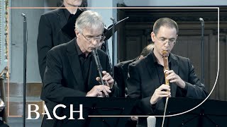 Download lagu Bach - Cantata Gottes Zeit..., 'Actus Tragicus' BWV 106 - Van Veldhoven | Netherlands Bach Society mp3 Download lagu Bach - Cantata Gottes Zeit..., 'Actus Tragicus' BWV 106 - Van Veldhoven | Netherlands Bach Society mp3