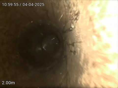 Blockage king  JL Murphy Reserve PM 2025 04 04 10 59 30