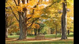 LeFu - Euch zum Geleit (im Original von "Schandmaul")