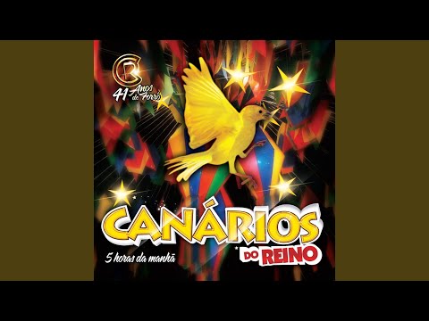 Não Faça Isso Baby