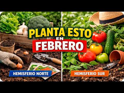 Feb Planting Guide: Northern & Southern Hemispheres – Toni's Tips