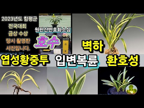 유튜브 썸네일