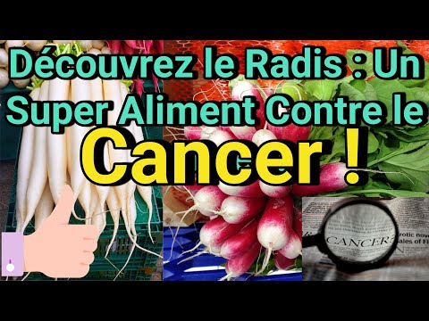 Radish against cancer: a natural remedy that transforms your health and energizes your daily life!