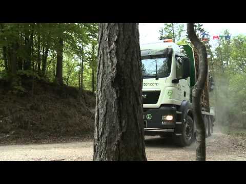 Holz Reiter Abtenau, www.rts-salzburg.at