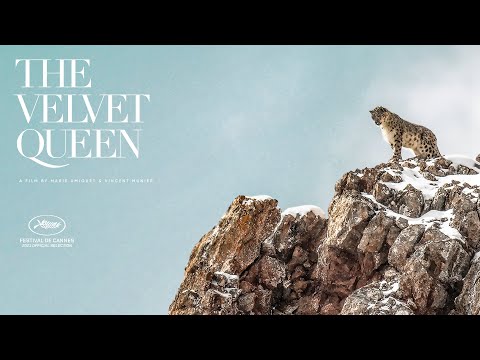 Youtube video still for The Velvet Queen