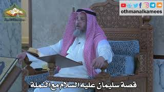 288 - قصة سليمان عليه السلام مع النملة - عثمان الخميس