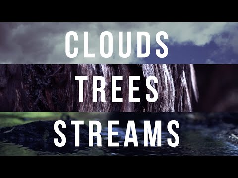 自然の癒しの力 (The healing power of nature)