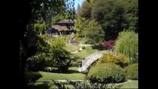 Bouncing Bougainvillea Garden Video