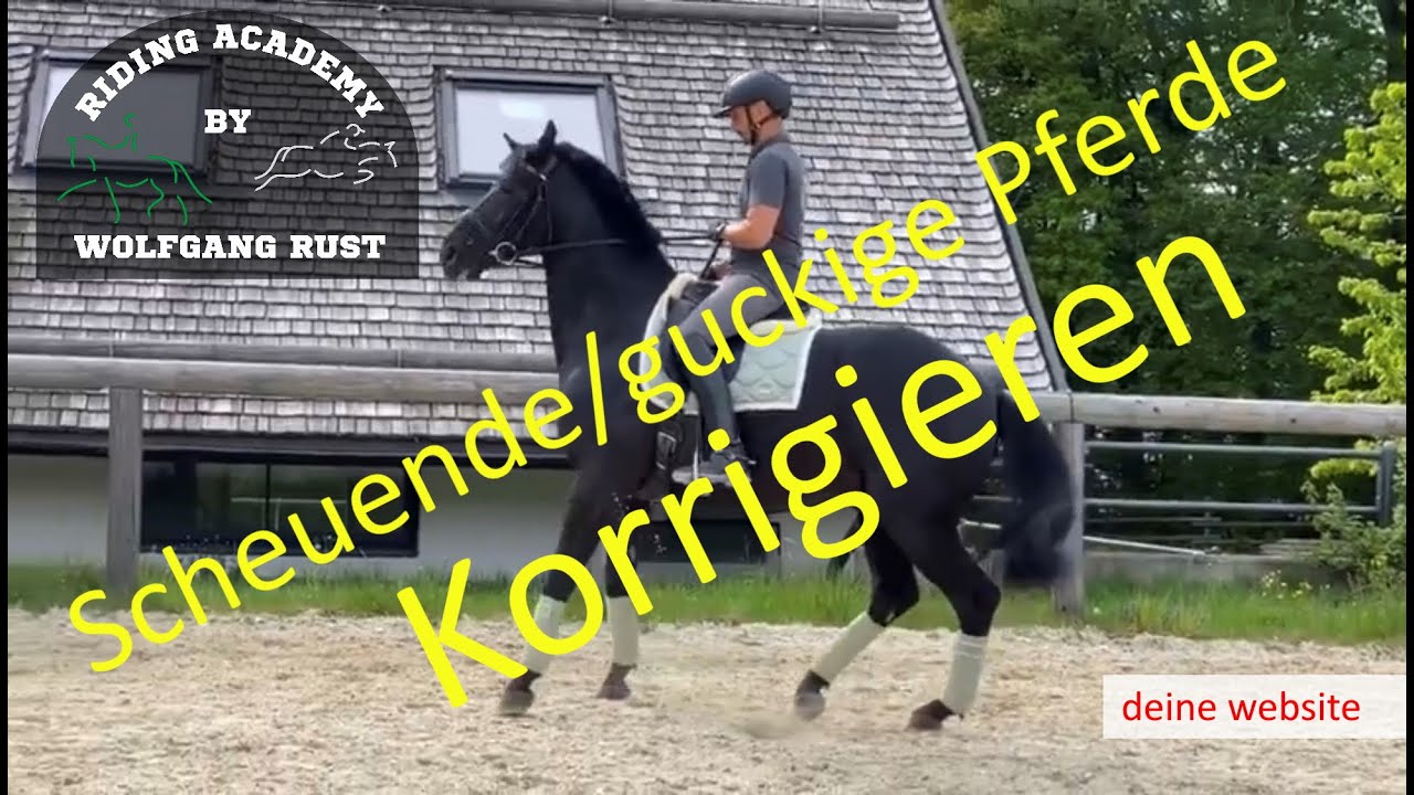 F26 Dein schreckhaftes Pferd selbstbewusst Reiten lernen. Korrektur von scheuenden/guckigen Pferden.
