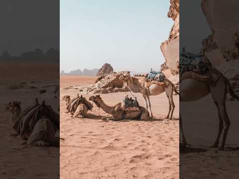 [FREE FOR PROFIT] Arabic x French PNL Type Beat - "Rebel"