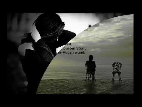 Jaylez- Liebe oder Hass