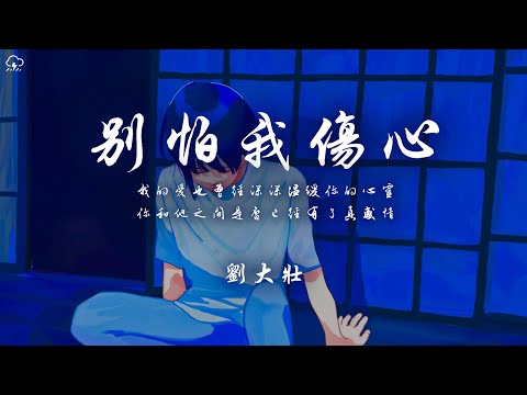 劉大壯 - 別怕我傷心「我的愛也曾經深深溫暖你的心靈 你和他之間是否已經有了真感情」【動態歌詞/PinyinLyrics】♪