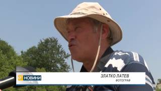 Светописи от жътва – Лимецът