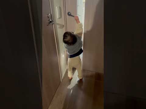 1歳児と愛犬が再会したら…