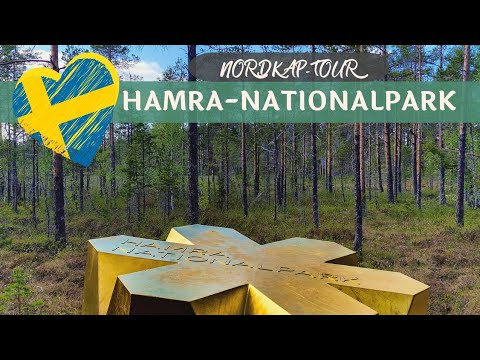 Nationalpark Hamra und Camping in Schweden - Roadtrip mit dem Wohnmobil zum Nordkap (Vlog Woche #5 )