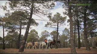 preview picture of video 'Turismo ecuestre el Serval en Abla, Almería'
