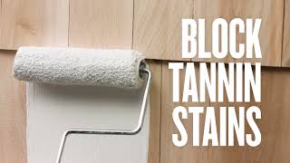 Valspar Exterior Primer/Sealer