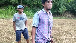 Download lagu INDAHNYA ALAM DESA, BACKSOUND NO COPYRIGHT mp3