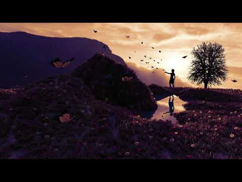 Denisa Dronca - Doamne indruma-mi pasii I Cover