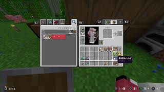 【マイクラ】作業ASMR的な
