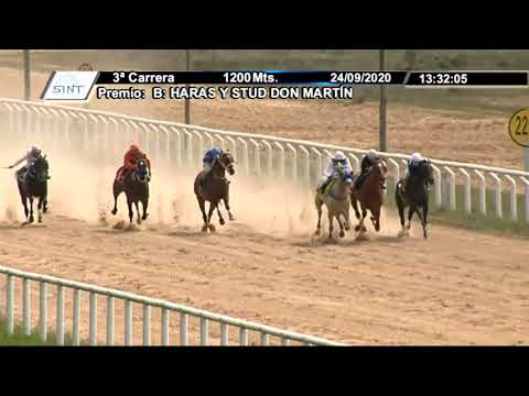 ME 200924 c03 - MISTER MARINE 1º - SINT MELO