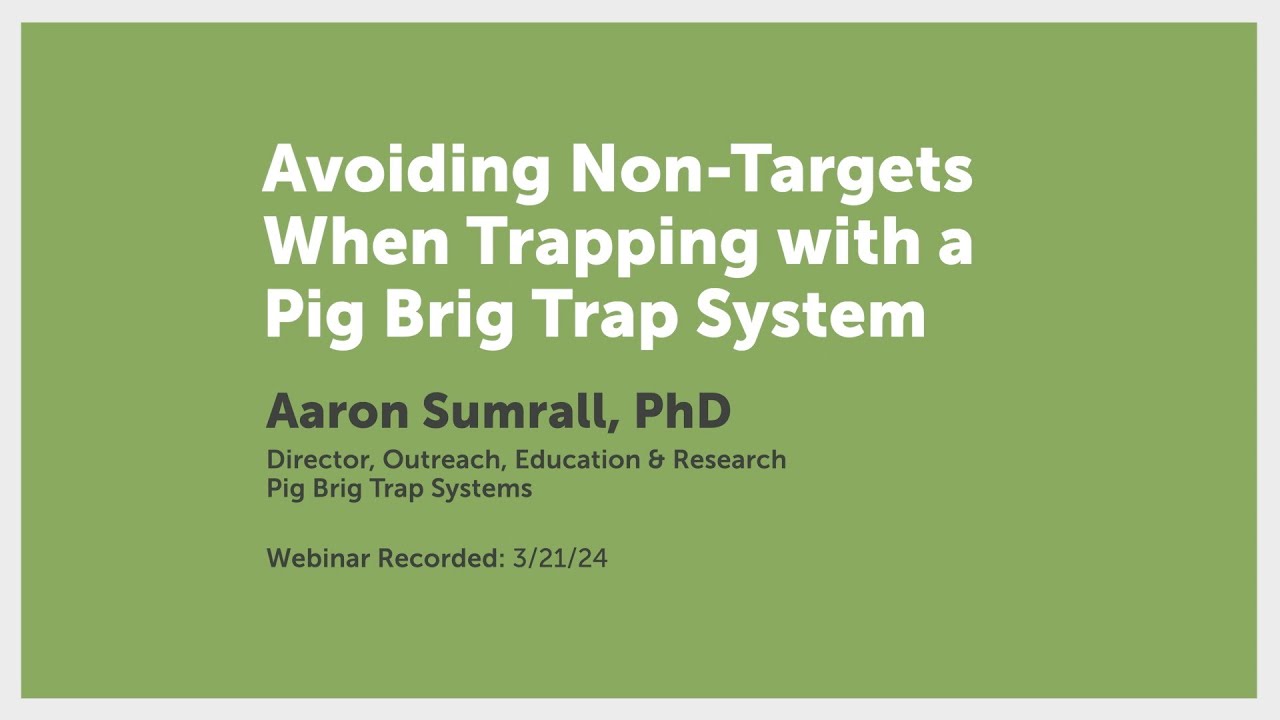 Avoiding Non-Targets When Trapping with a Pig Brig Trap System | Pig Brig Trap Systems