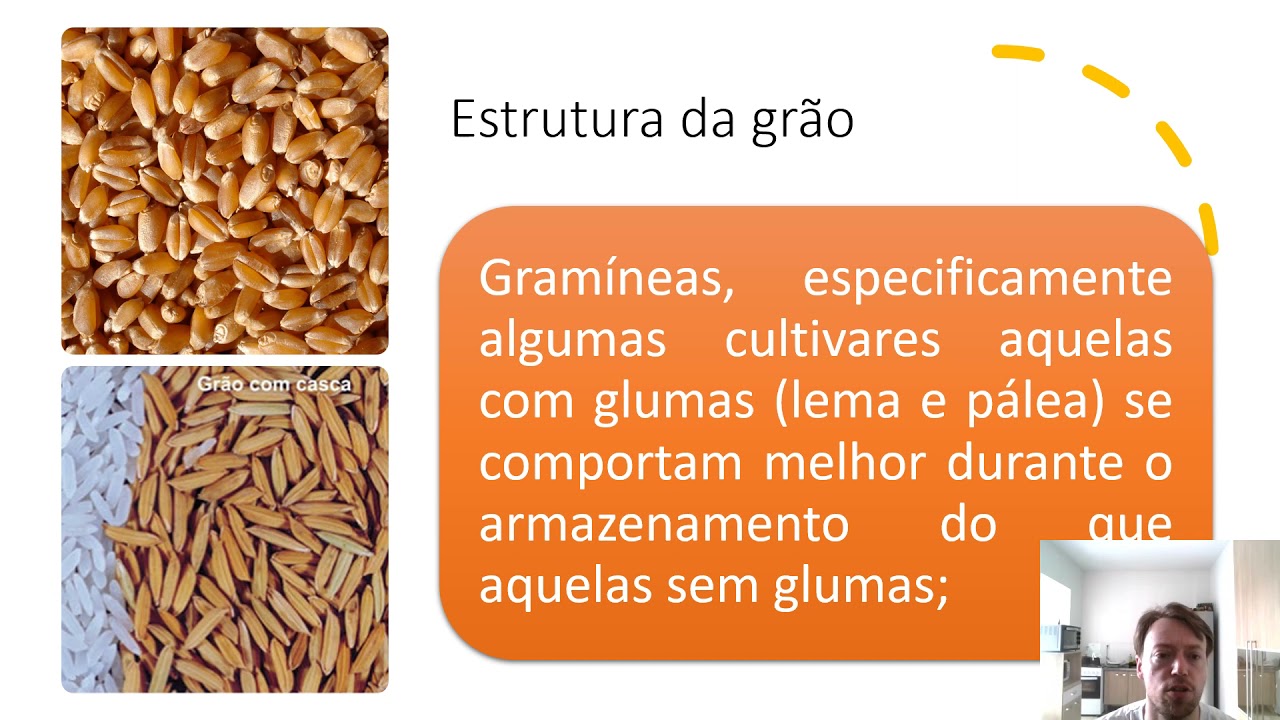 Pós colheita de grãos  1