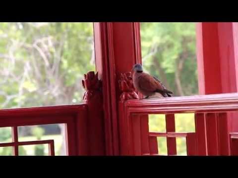 タイ-ニューヨーク旅行 - アユタヤ - バンパイン宮殿