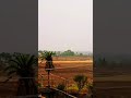 Hindi Songs Hot Video
