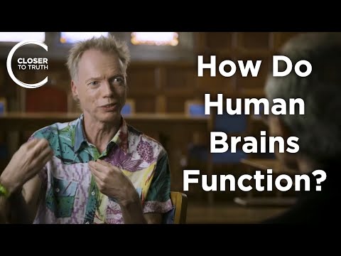 Andy Clark - How Do Human Brains Function?