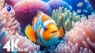 Aquarium 4K VIDEO (ULTRA HD) - Relaxing Music with Beautiful Coral Reef Fish - Relaxing Oceanscapes