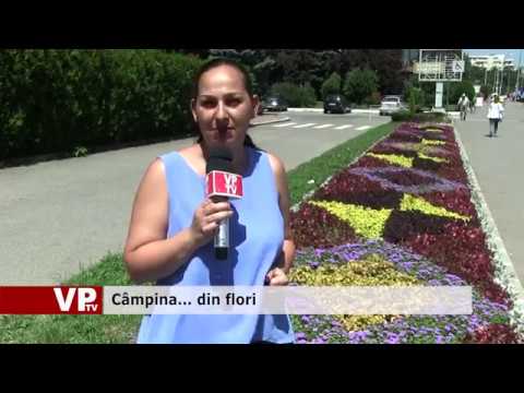 Câmpina… din flori