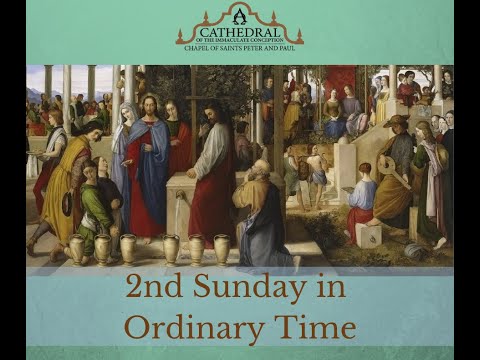Click to Watch the Celebrate Sunday Mass - 1.16.22 video