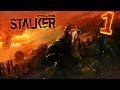 Stalker Online - Арена #1 