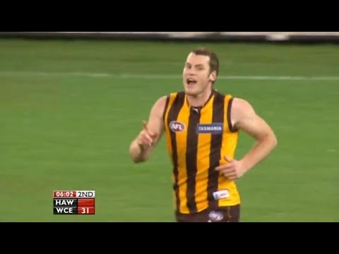 AFL 2008: Round 14 - Hawthorn highlights vs. West Coast
