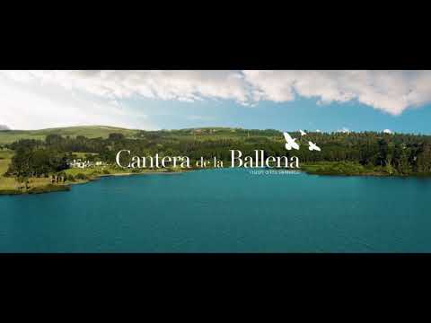 🏡 Video Inmobiliario | Cantera de la Ballena – Maldonado, Uruguay