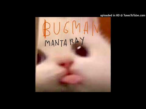 BUGMAN - MANTA RAY